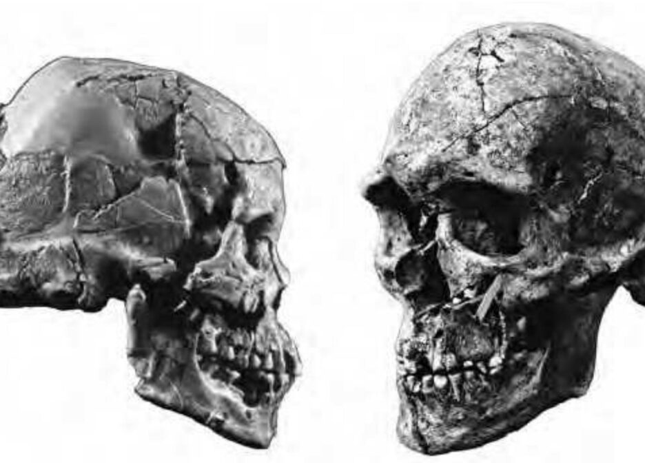 Landed Cost: La Fórmula Exacta para Calcular el Costo Real de la Importación.